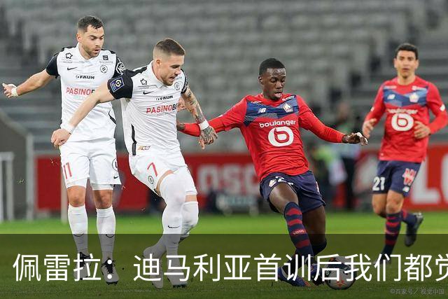 佩雷拉：迪马利亚首训后我们都觉得有他能夺冠