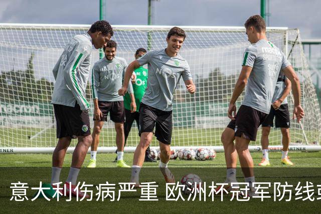 意大利伤病严重 欧洲杯冠军防线或全部无法上场