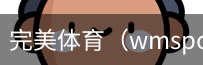 完美体育，WMsports，完美体育官方，完美体育平台，完美体育下载